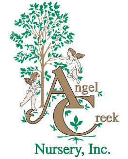 Angel Creek Nursery